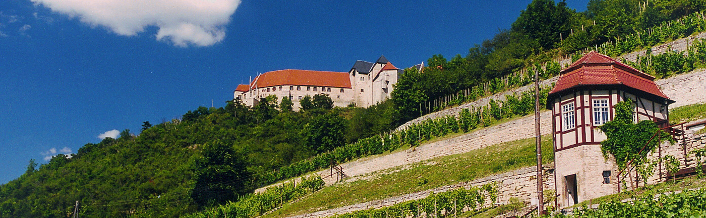 schloss1-1400x400.jpg